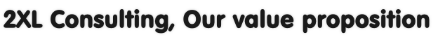 2XL Consulting, Our value proposition